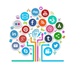 Jasa Kelola Media Sosial