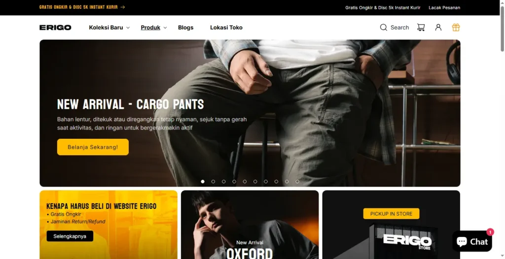 Website Erigo