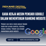 Cara Kerja Mesin Pencari Google dalam Menentukan Ranking Website